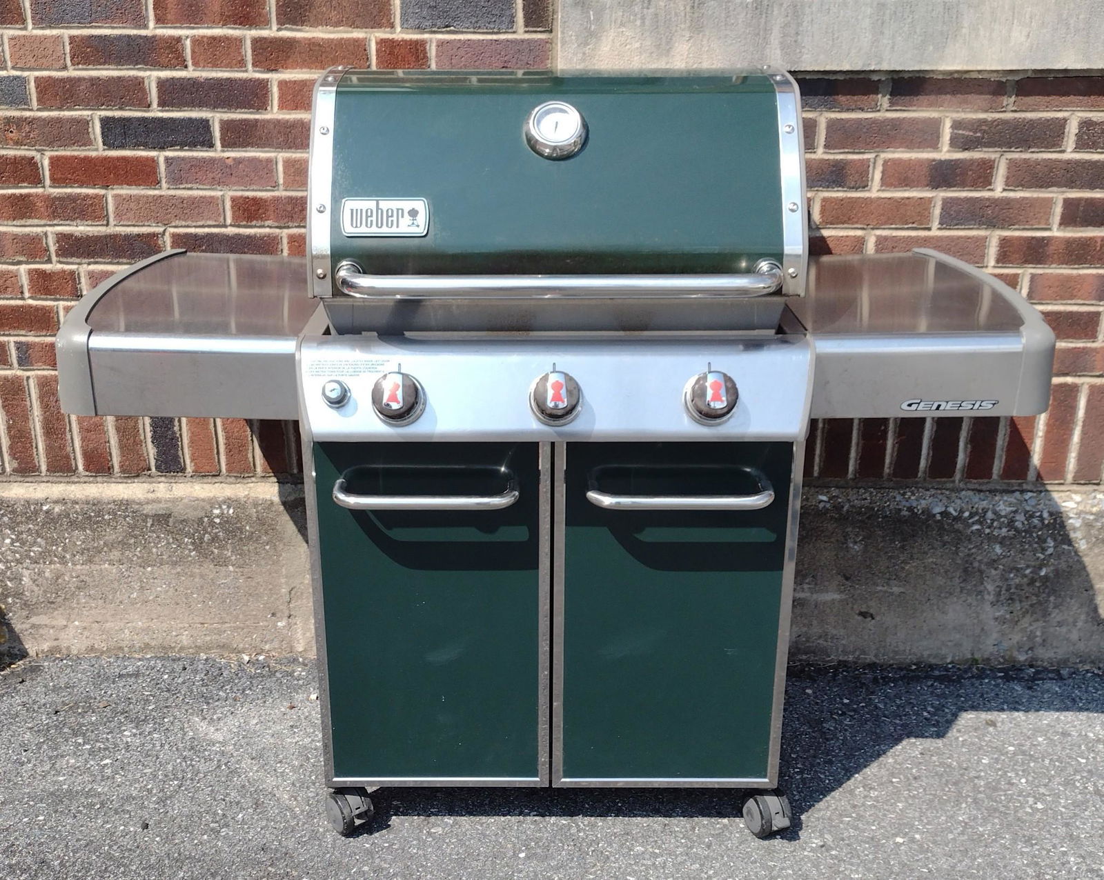 Weber Genesis Grill (1 of 6)