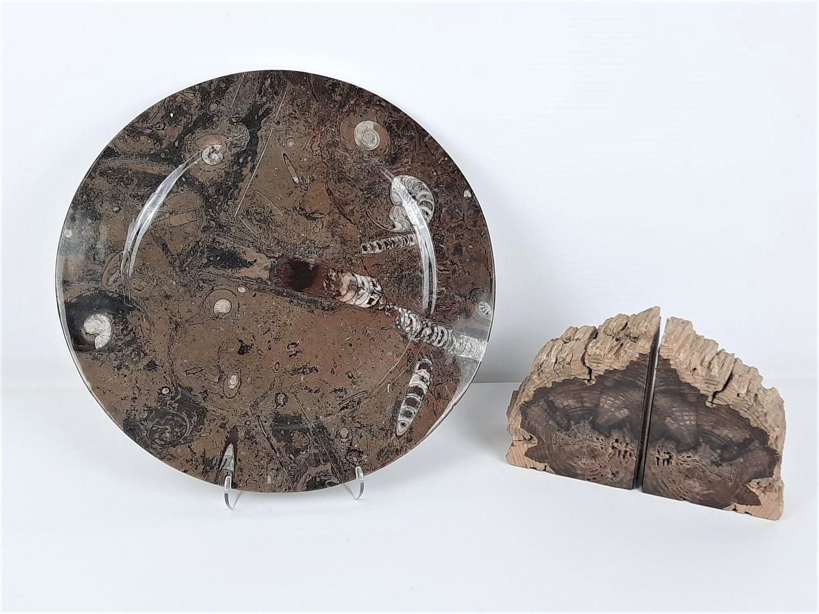 Ammonite Fossil Charger & Pr Petrified Wood Bookends (1 of 4)