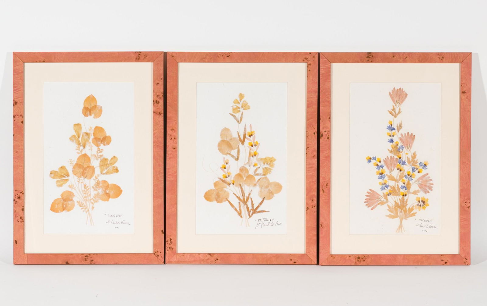 3 St. Paul de Vence "Tauaria" Dried Flowers (1 of 2)