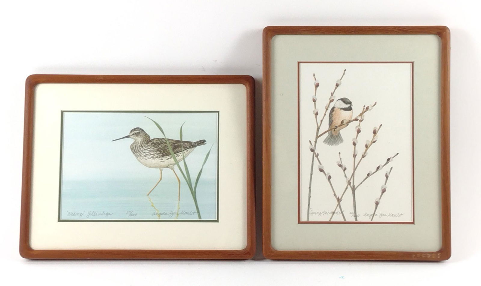 2 Angela Zoni Mault Bird Ltd Ed Prints (1 of 6)