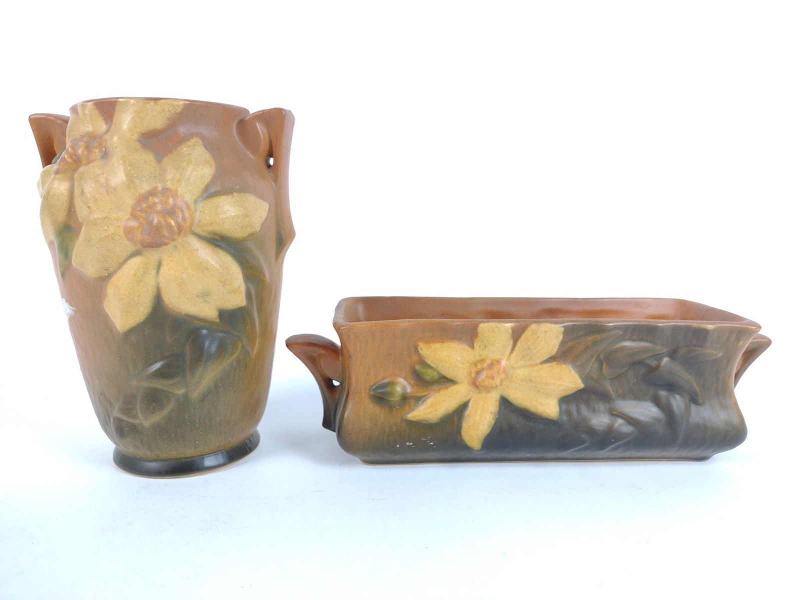 2 Pcs Roseville Clematis (1 of 4)