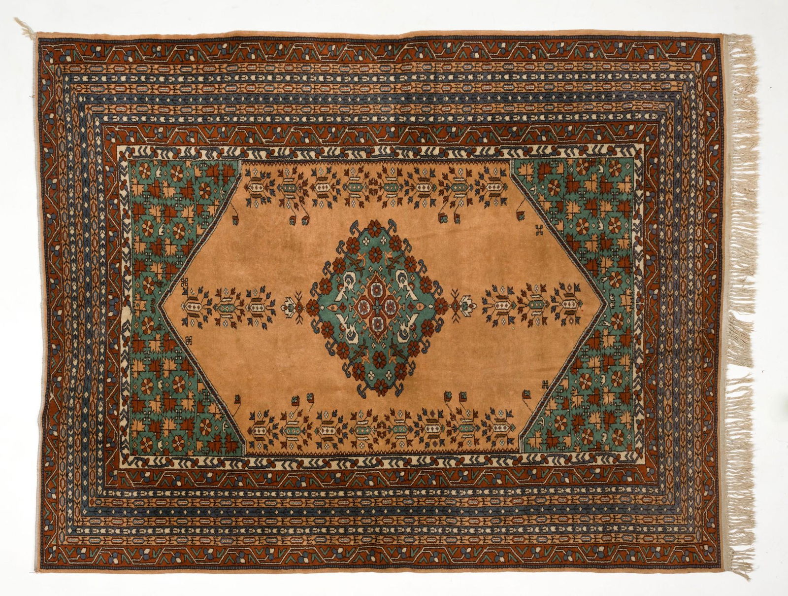Indian Oriental Area Rug (1 of 7)