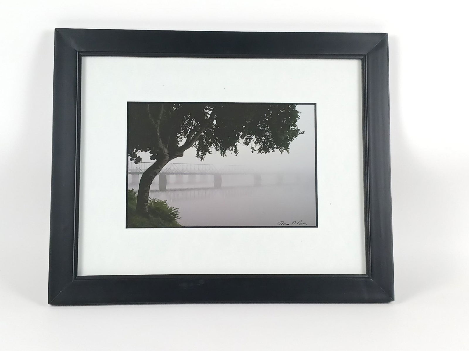 Thomas N. Reide Fog Over The Susquehanna Photograph (1 of 2)