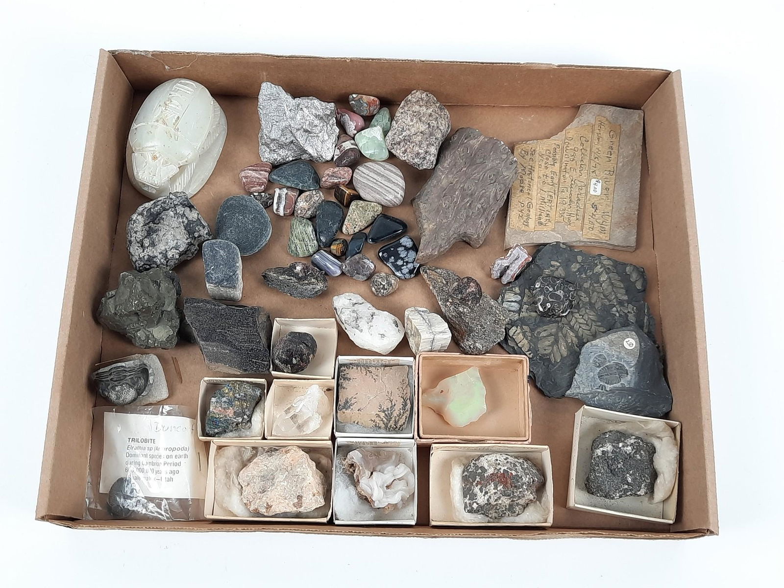 Grouping of Rocks and Minerals incl Fossils (1 of 17)
