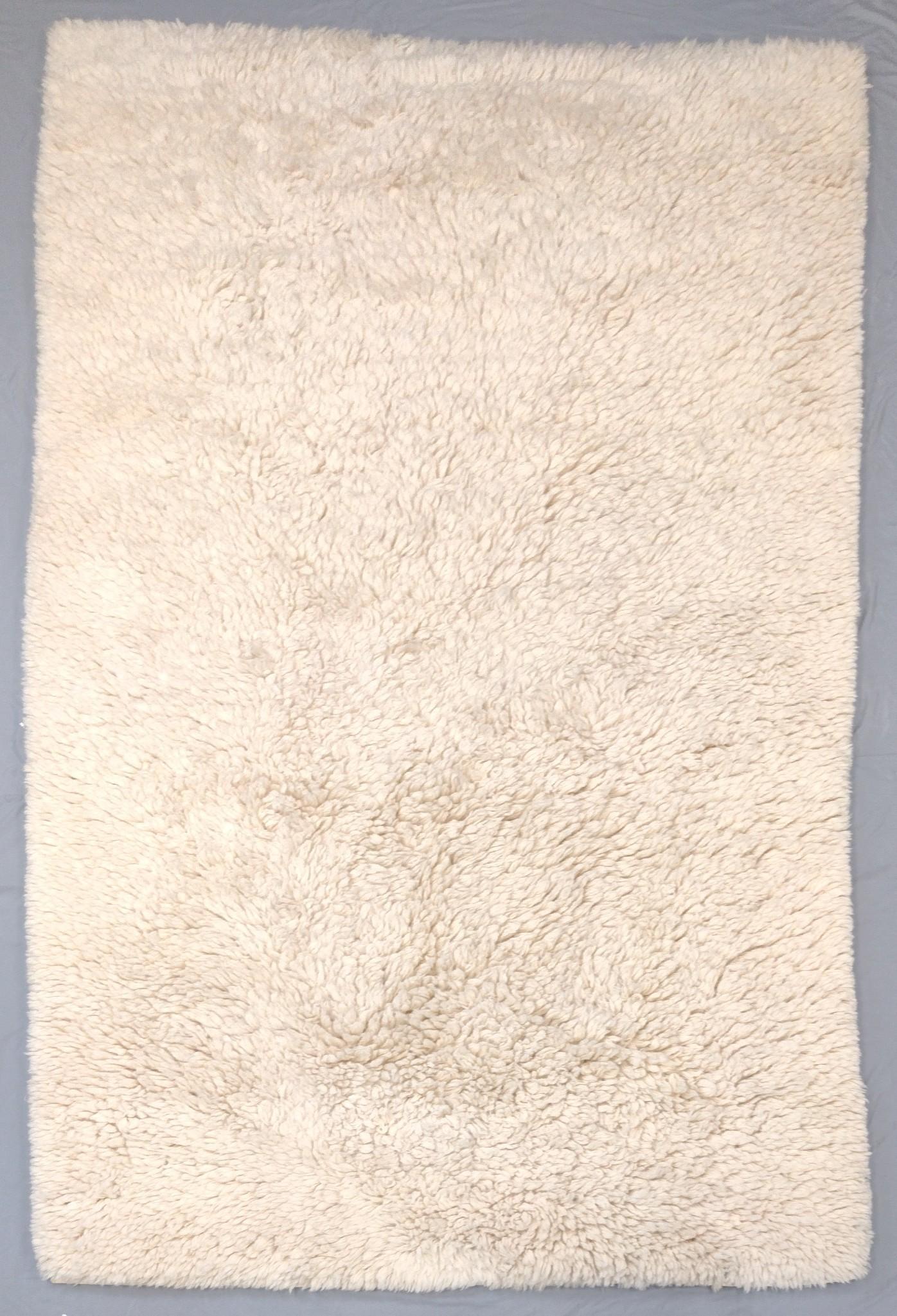 Pottery Barn Shag Area Rug (1 of 2)
