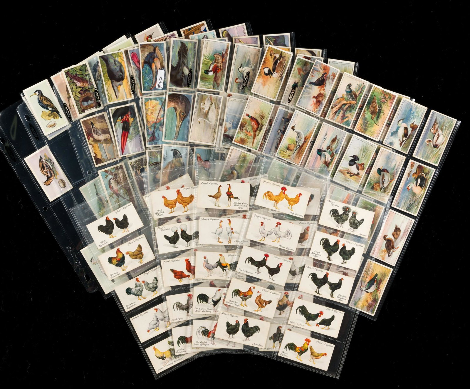 5 Full and Partial Sets Birds Cigarette Cards (1 of 9)