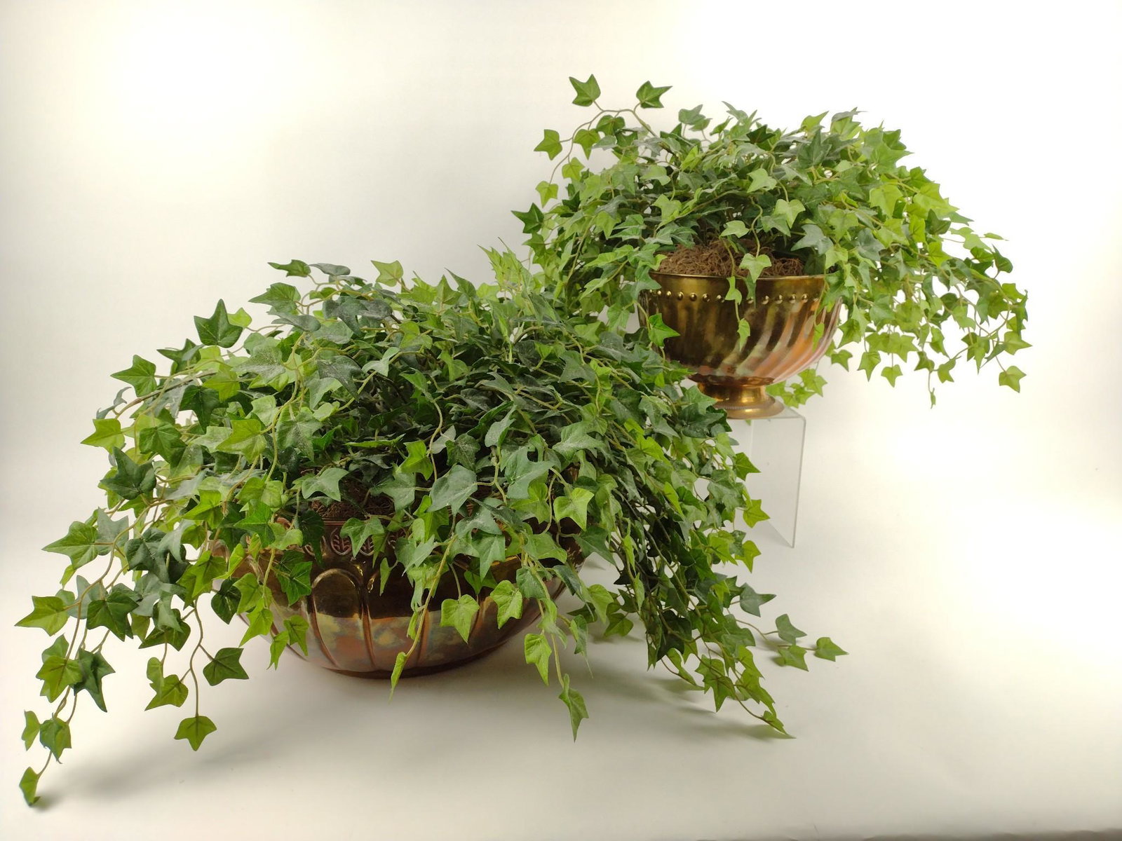 2 Brass Planters with Artificial Ivy (1 of 1)