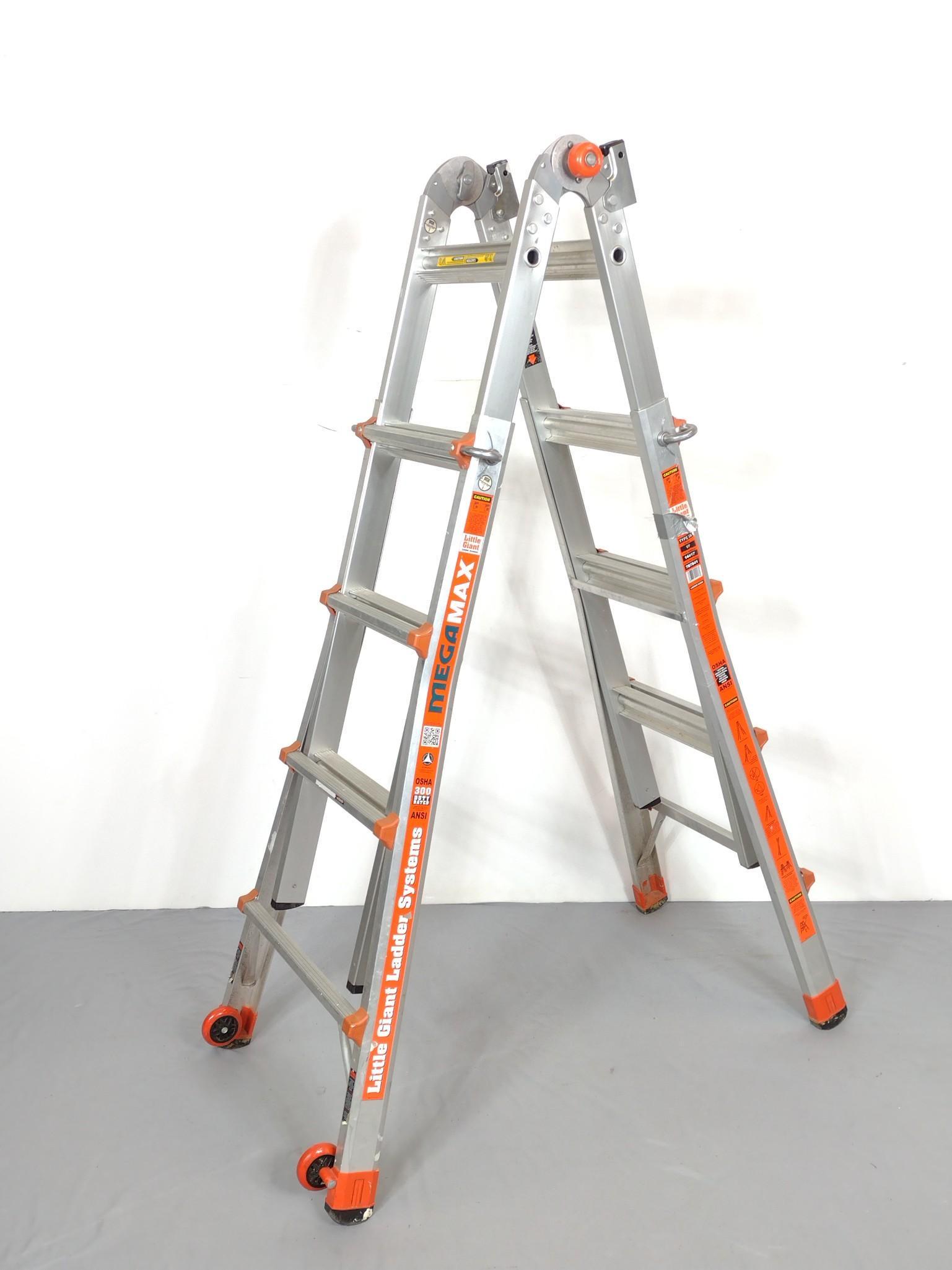 Little Giant Ladder Systems (1 of 5)