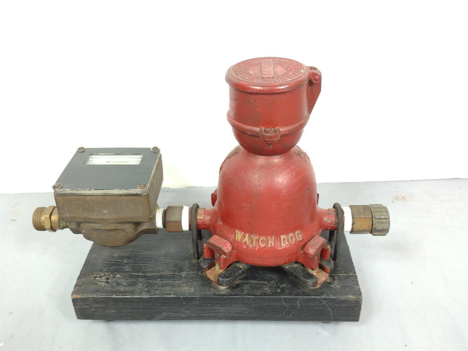 Gamin Meter Company Watch Dog Water Meter (1 of 5)