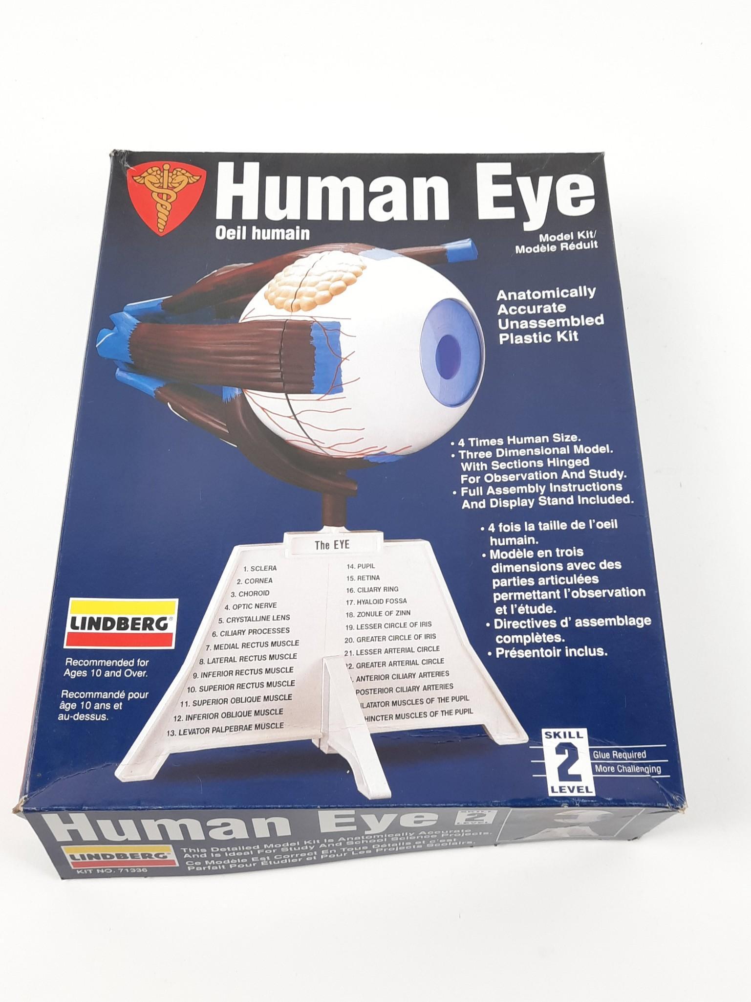 Lindberg Human Eye Model Kit (1 of 2)