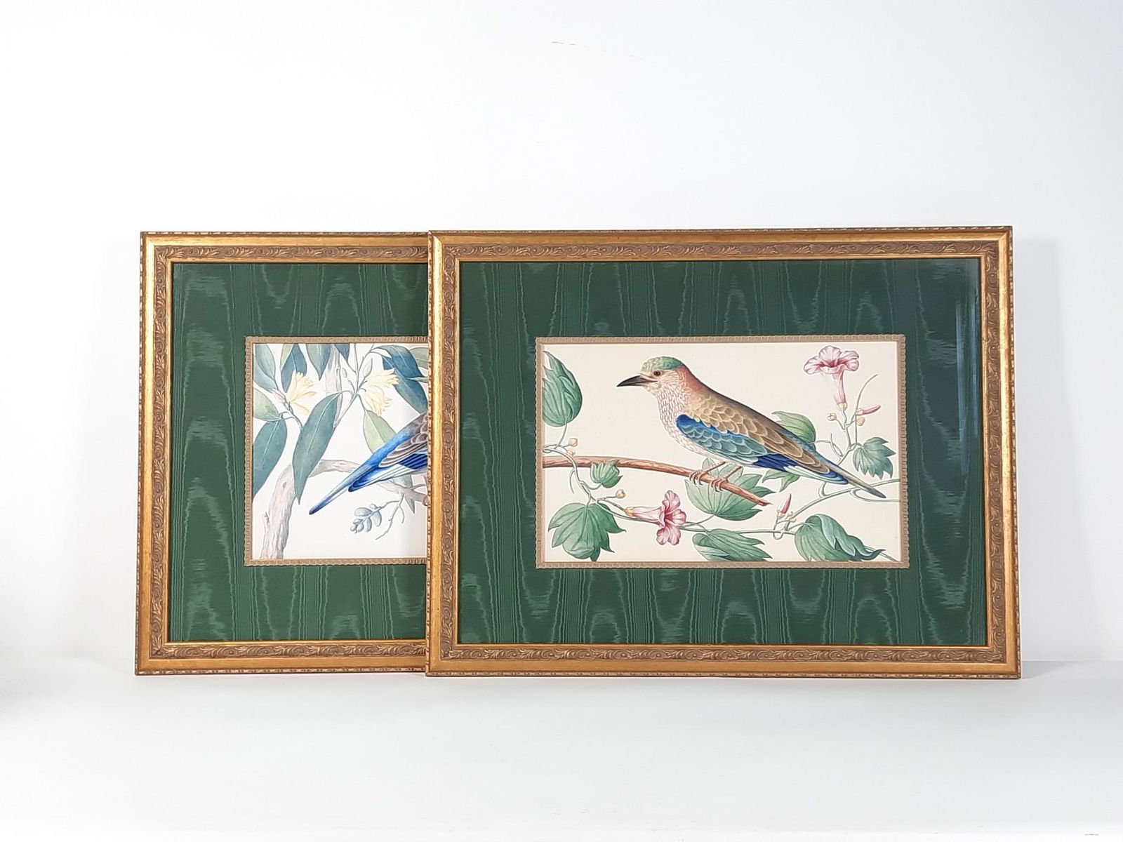 2 Colorful Bird Decorator Prints (1 of 3)