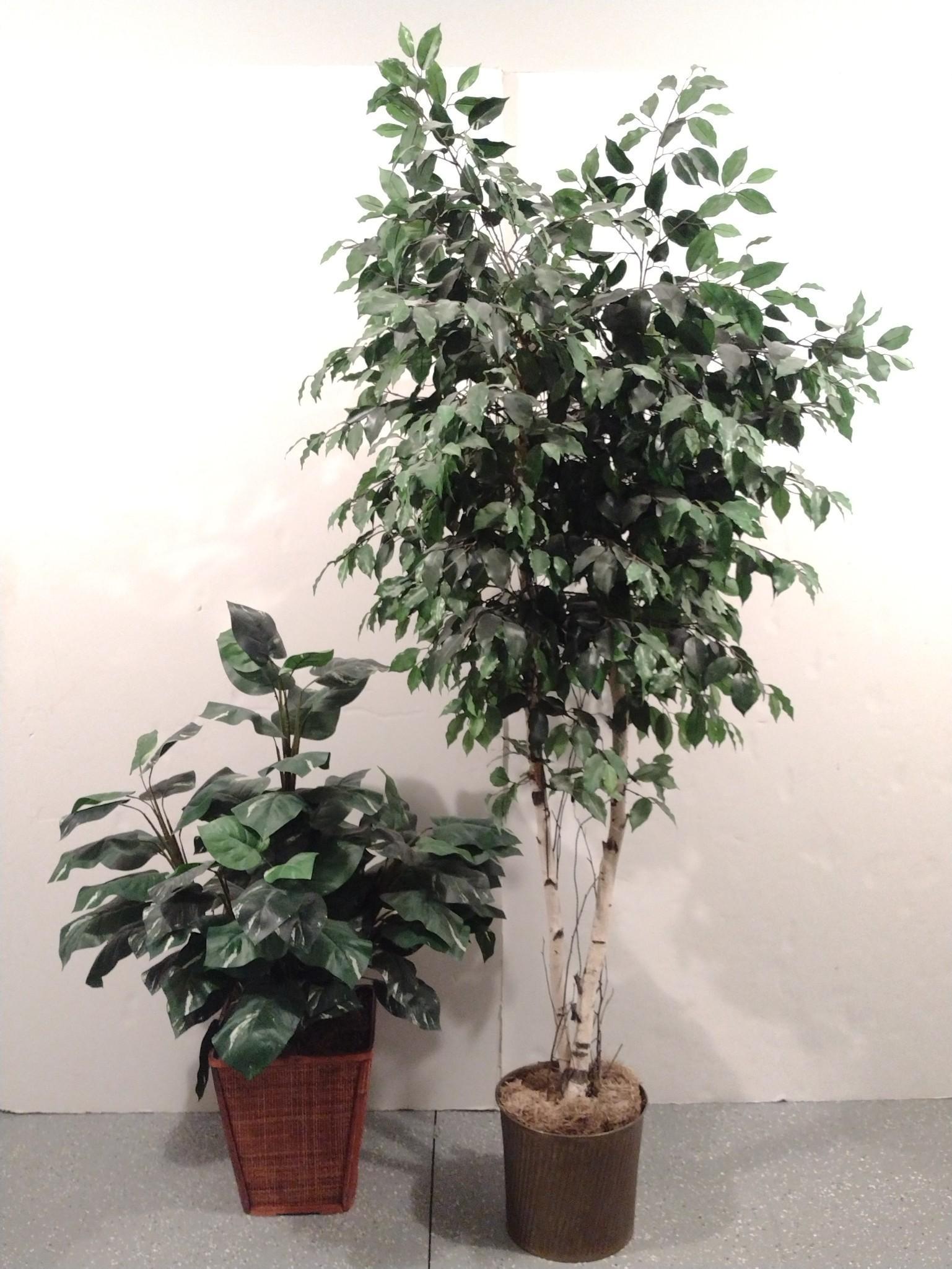 Artificial Tree & Plant (1 of 3)