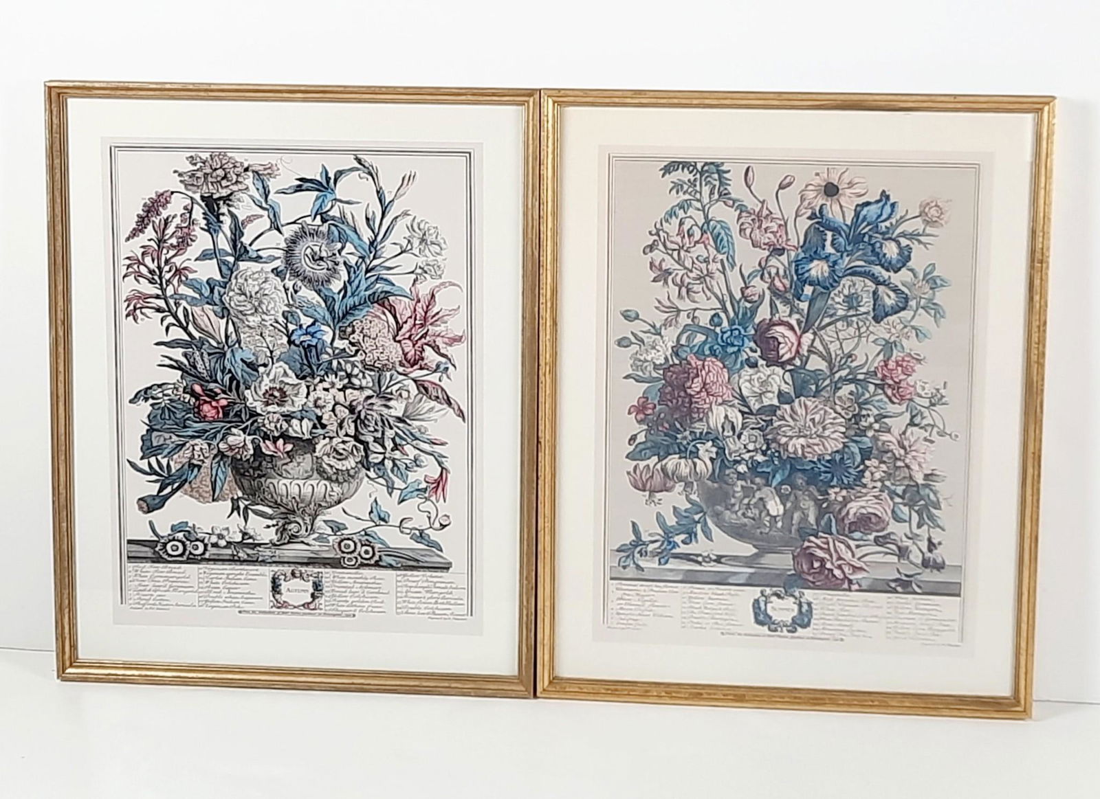 2 Botanical Prints incl Summer and Autumn (1 of 3)