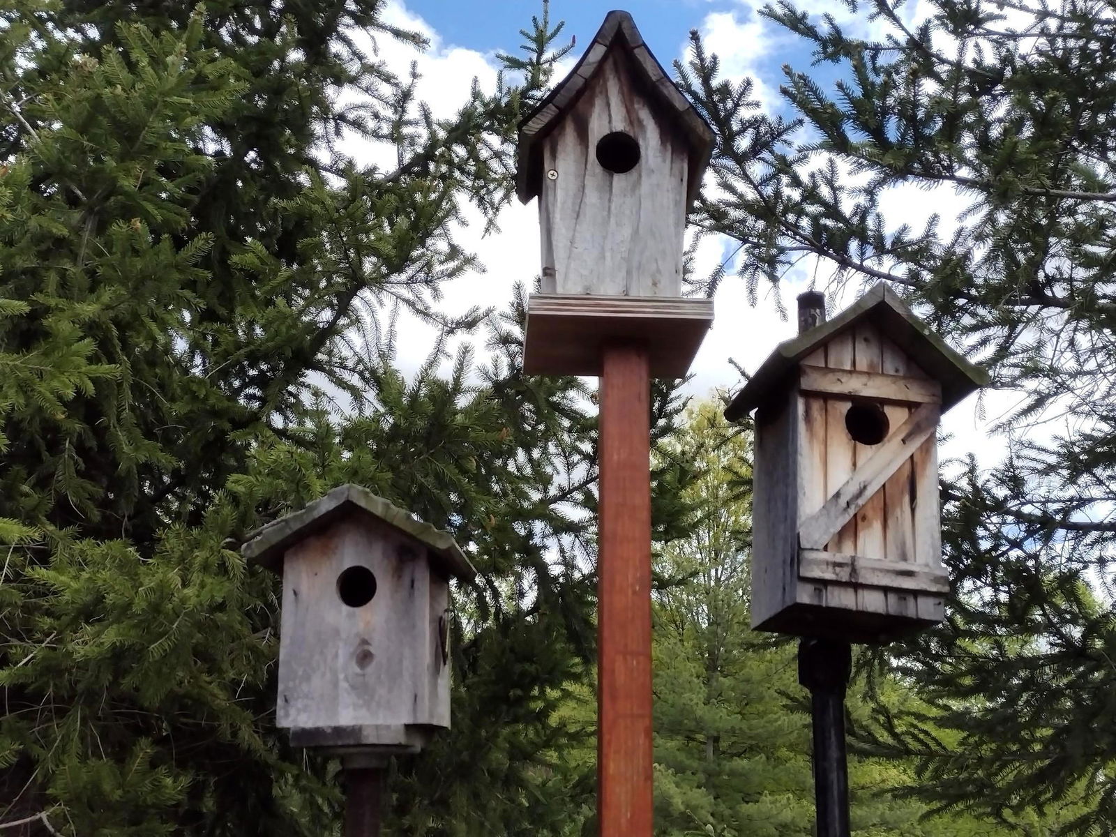 3 Bird Houses (1 of 2)