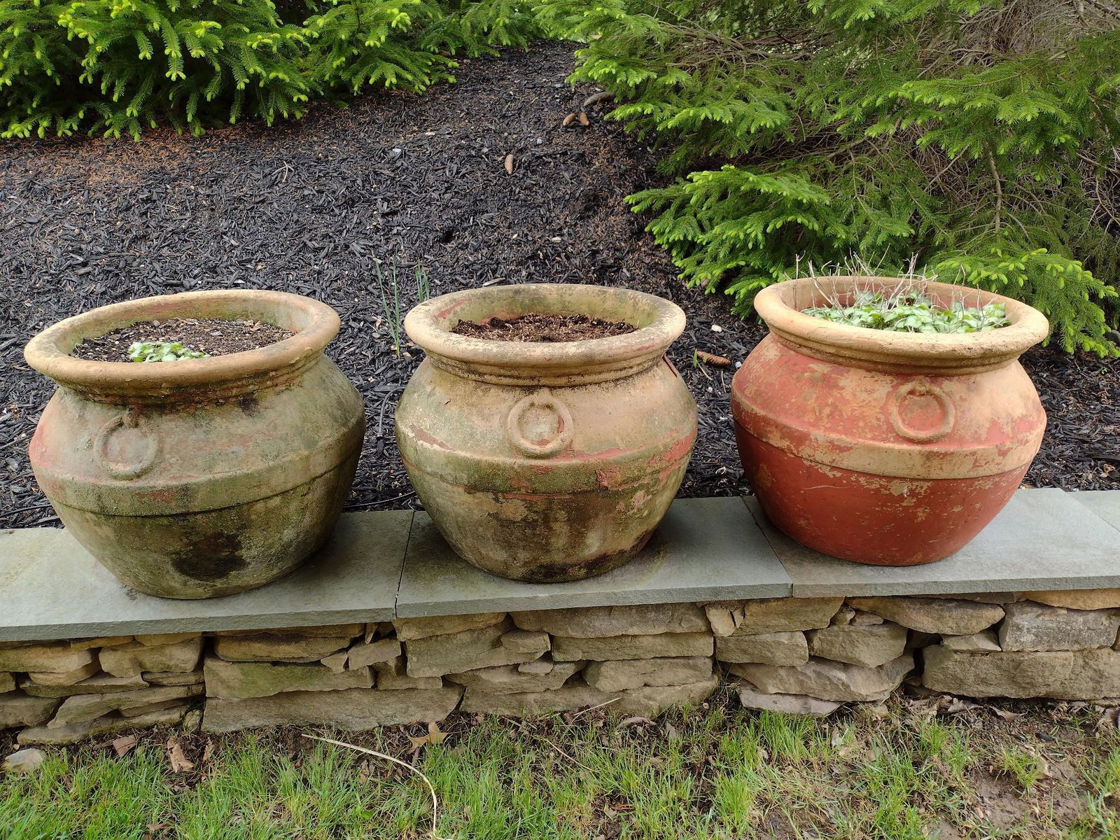 Three Terracotta Planters (1 of 3)