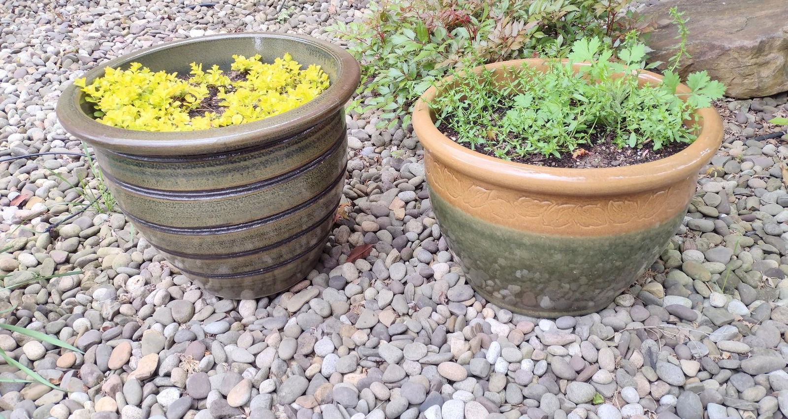 Two Ceramic Planters (1 of 2)