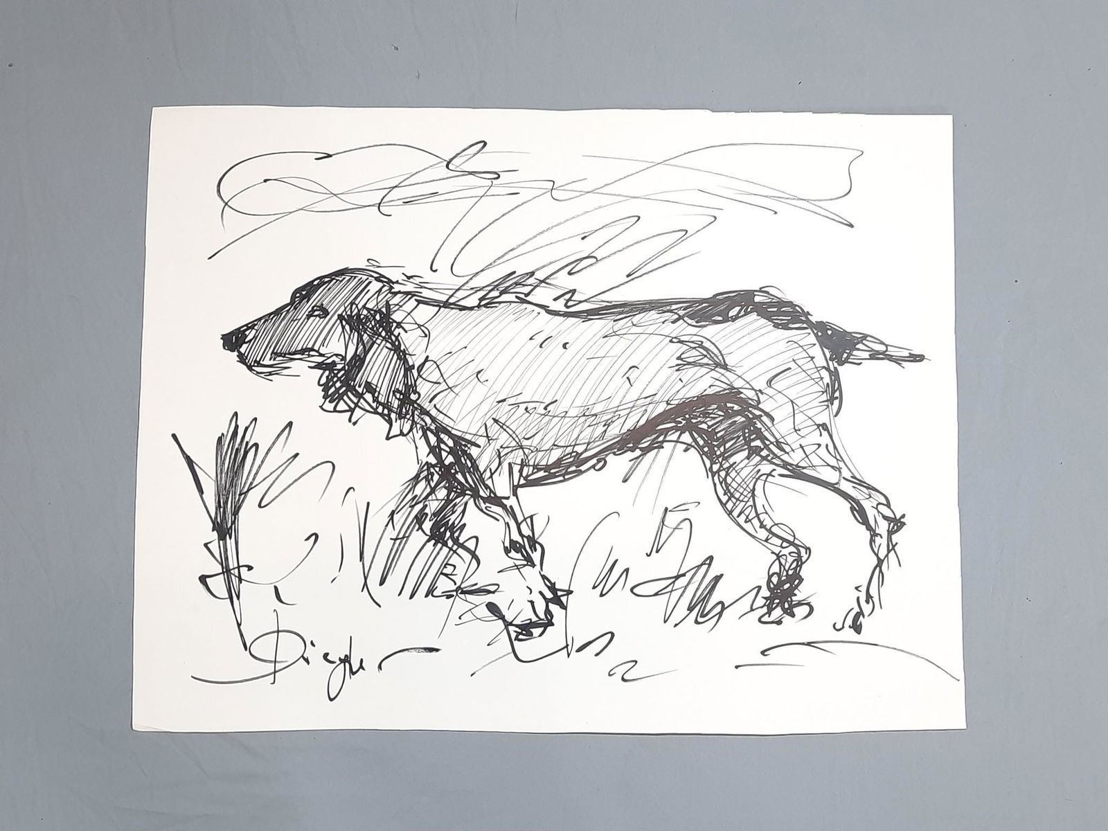 Antonio Diego Voci  Dog Drawing (1 of 3)