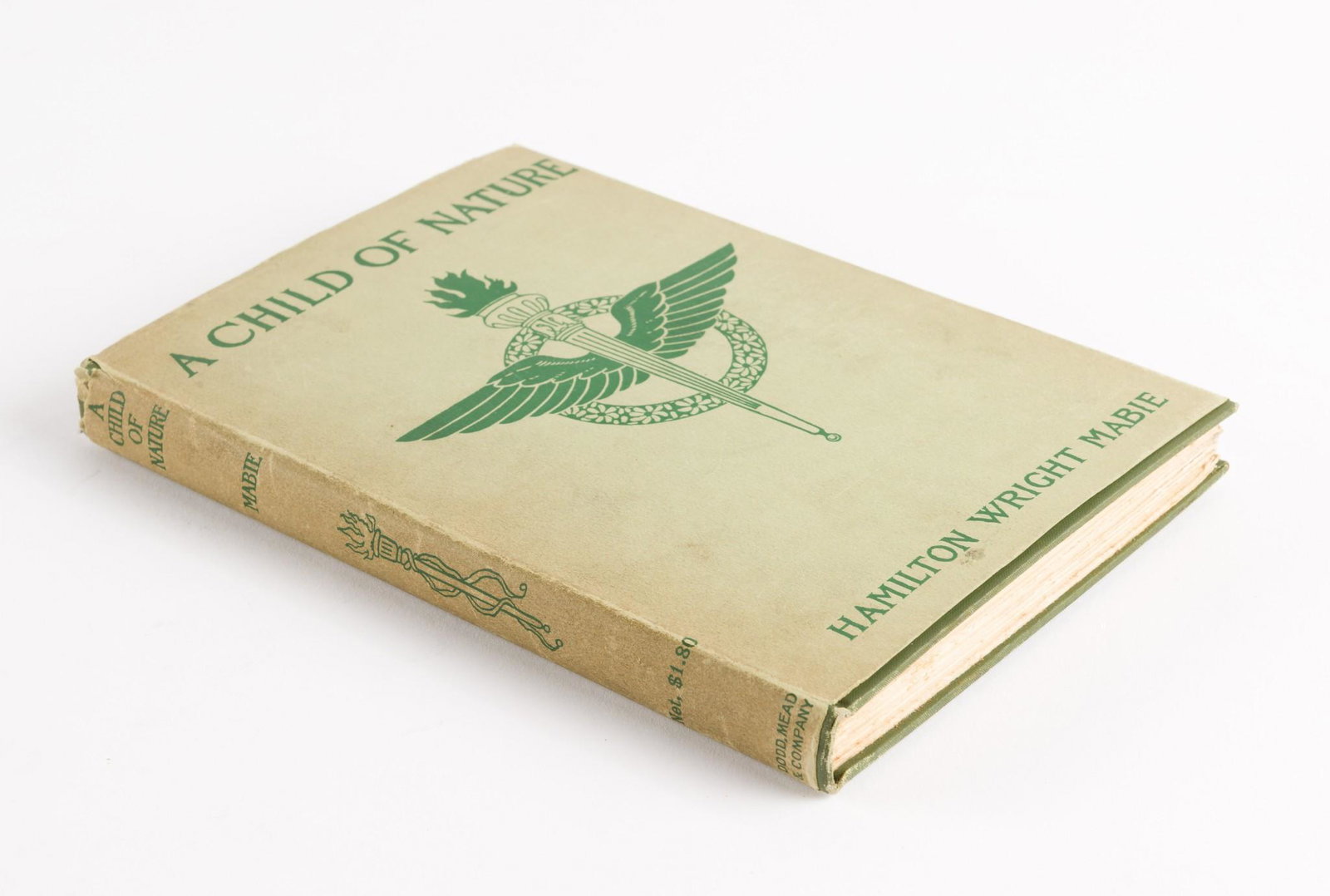 1901 1st Ed. A Child Of Nature - Hamilton Wright Mabie - Illustrated With Dust Jacket (1 of 8)