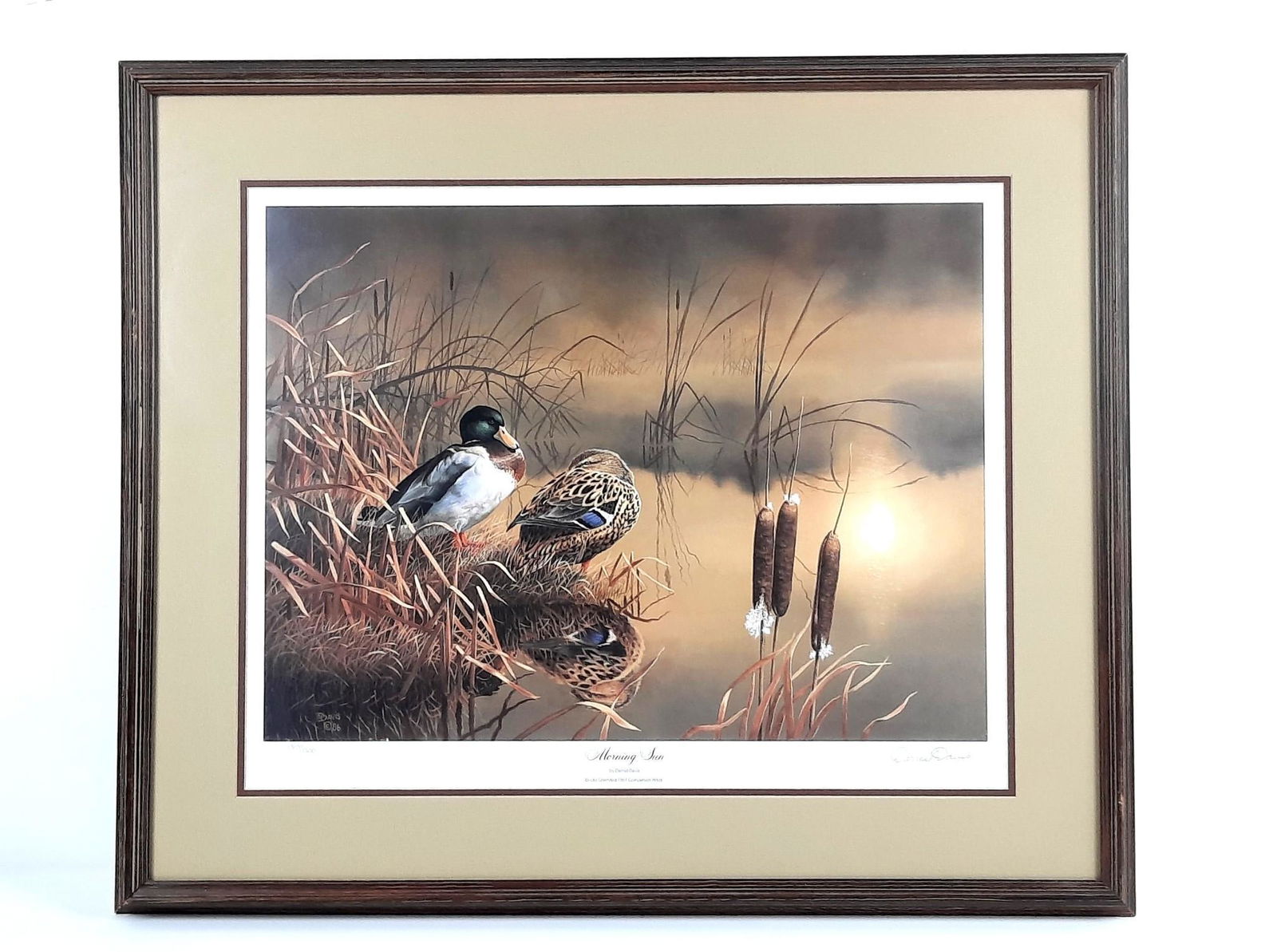Darrell Davis "Morning Sun" Ltd Ed Print (1 of 5)