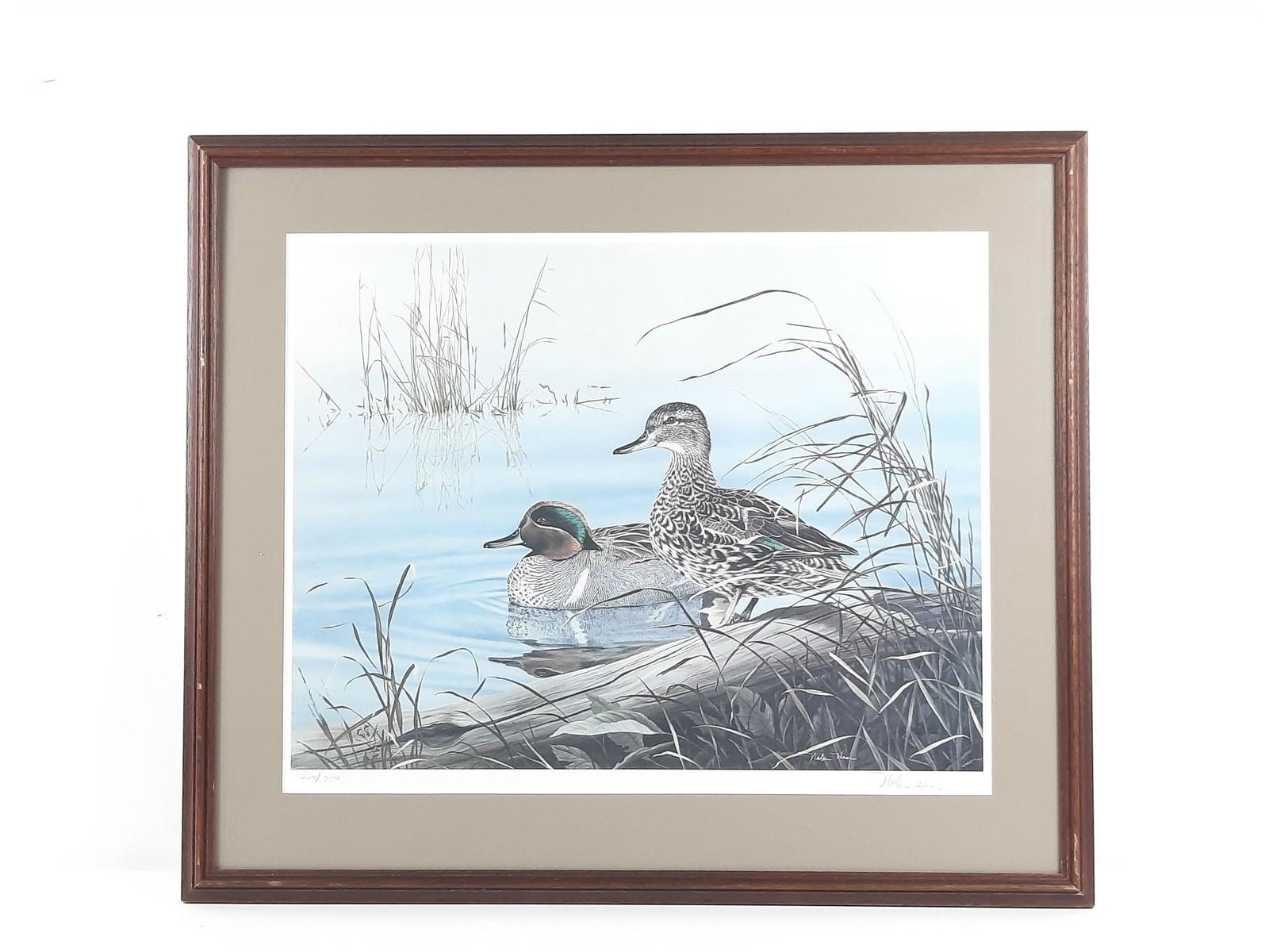 Nolan Haan Ducks Ltd Ed Print (1 of 3)