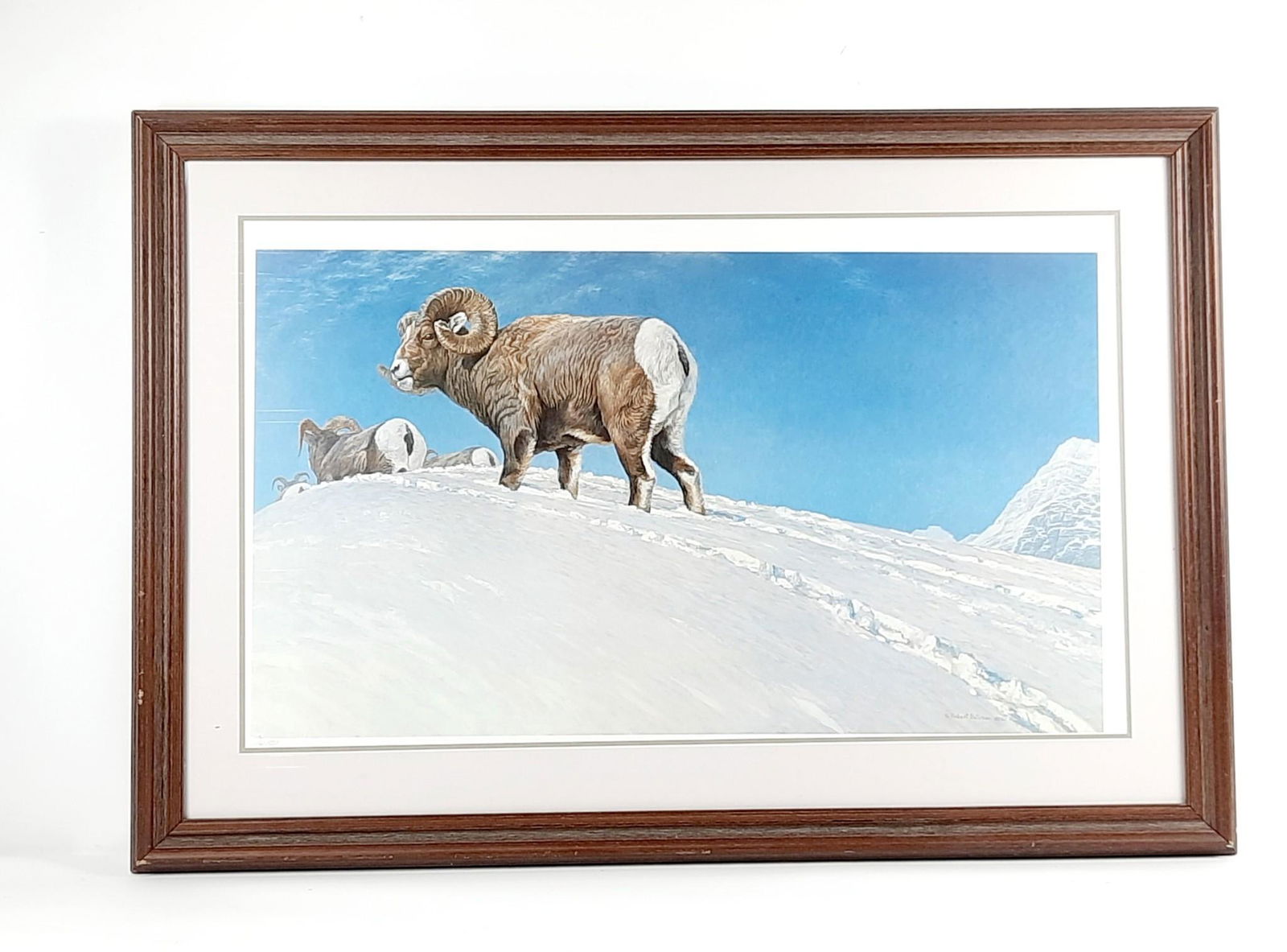 Robert Bateman "Last Look-Big Horn Sheep" Ltd Ed Print (1 of 6)