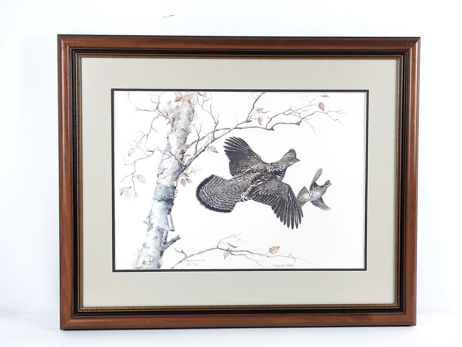 Maynard Reece The Birch Roughed Grouse Ltd Ed Print (1 of 5)