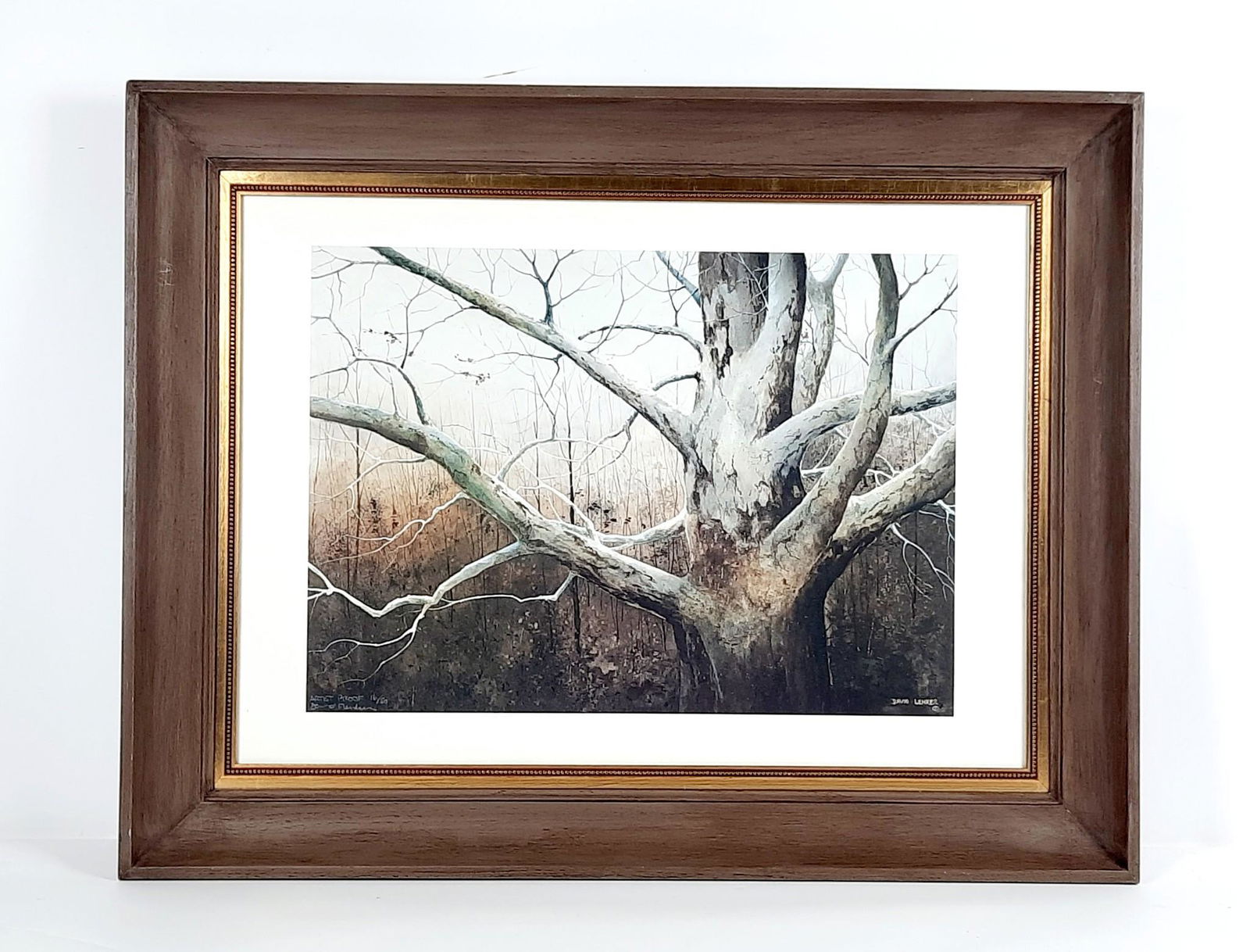 David Lenker Old Oak Tree Ltd. Artist Proof Edition (1 of 3)