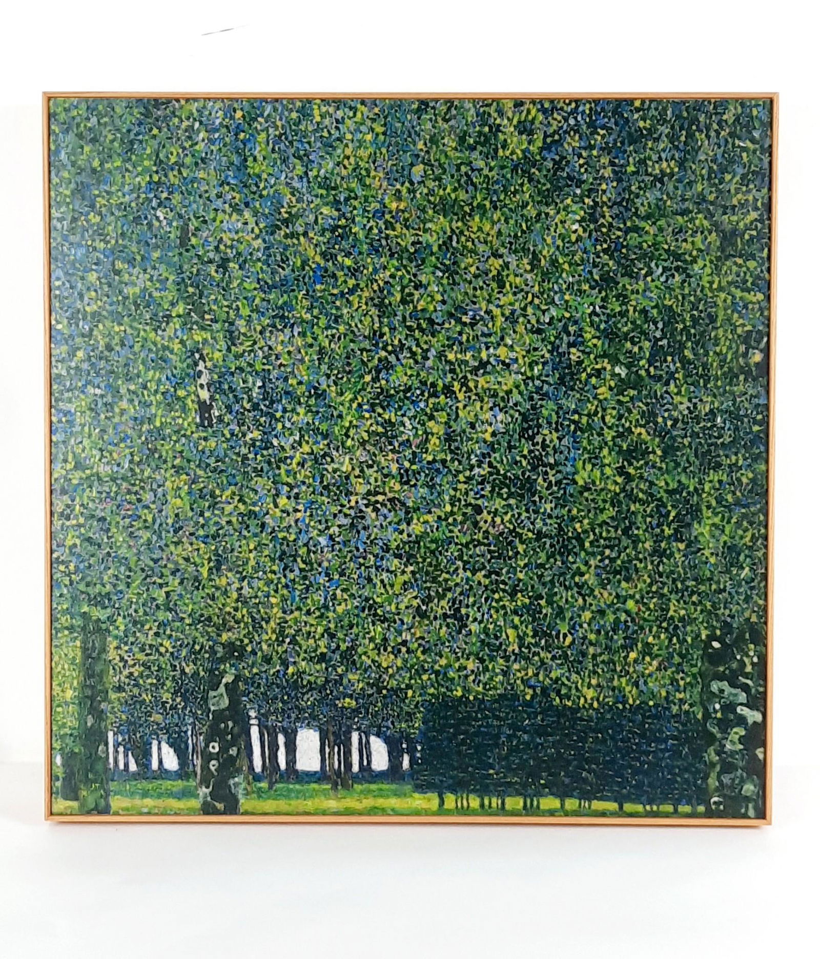 Gustav Klimt "The Park" Print: Gustav Klimt was born on July 14, 1862, the son of an Austrian jeweler. From the age of fourteen to twenty he studied at the School of Plastic Art in Vienna. From the age of eighteen he, his brother E