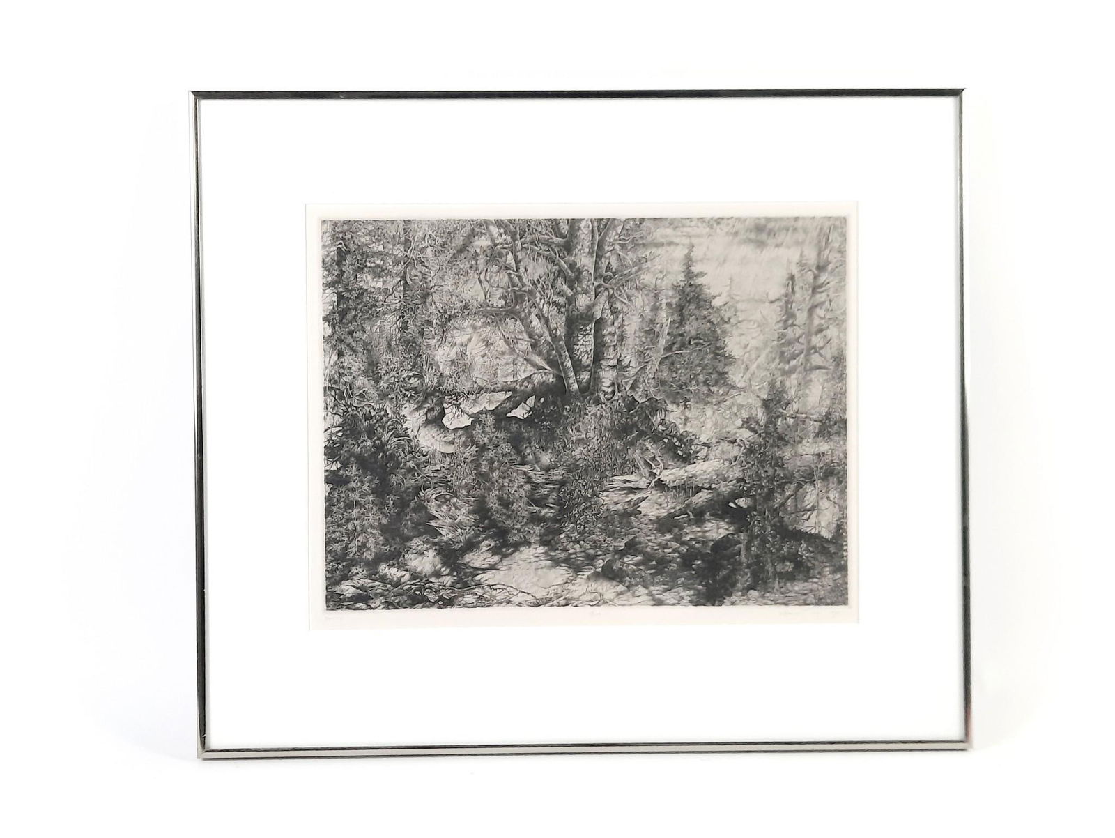 Mark Leithauser "Birches" Ltd Ed Print (1 of 5)