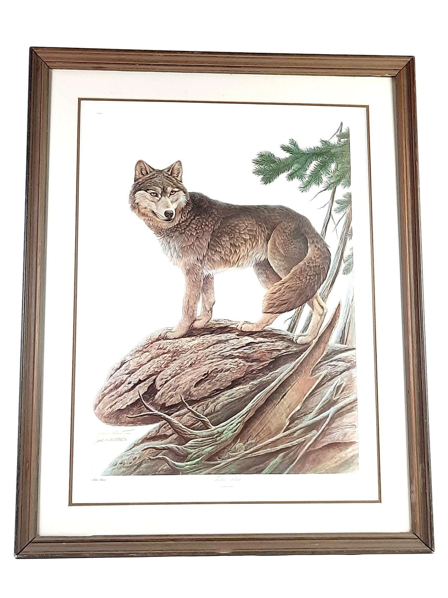 John Ruthven "Timber Wolf" Ltd Ed Print (1 of 4)