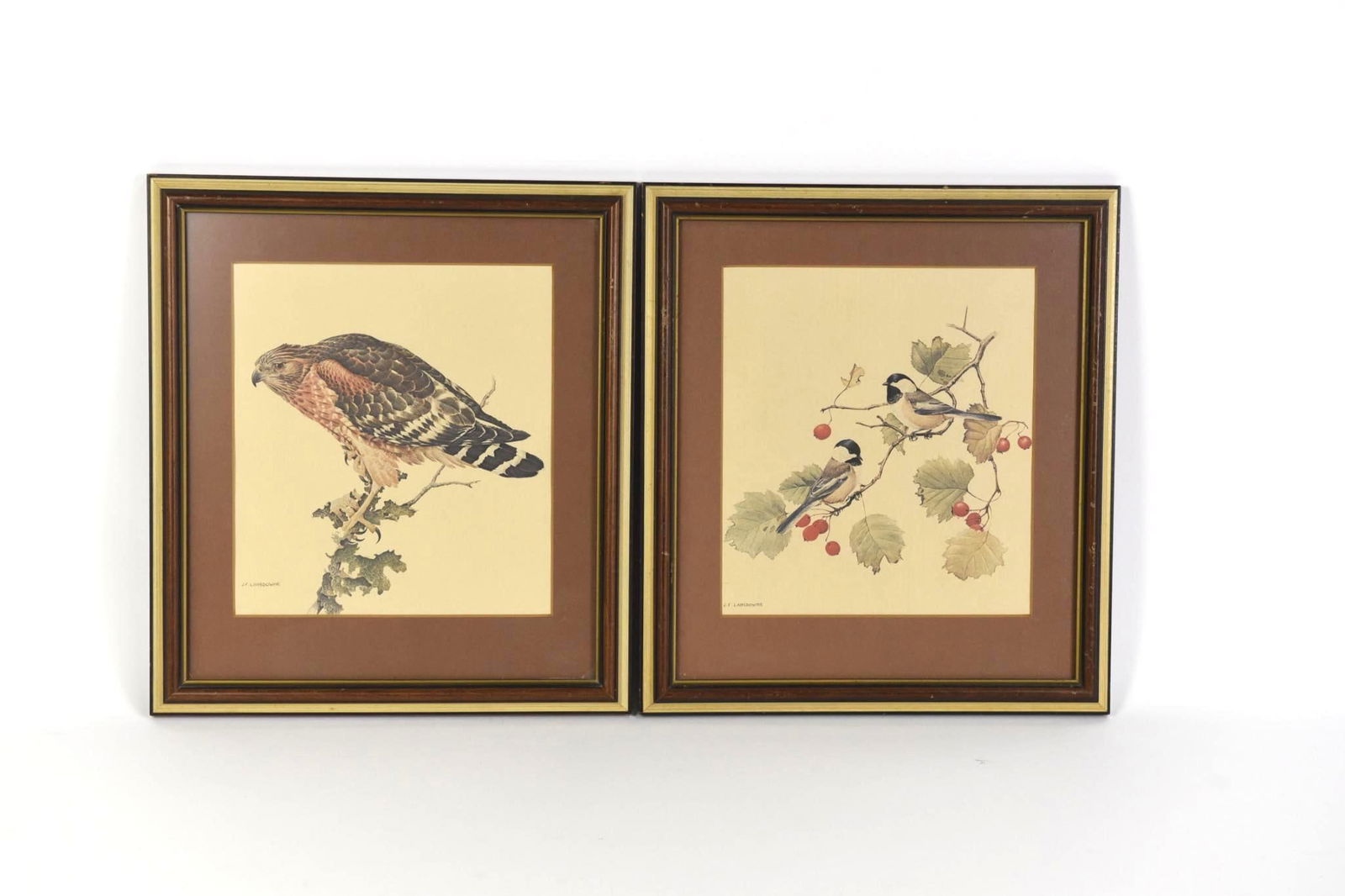 2 J. F. Lansdowne Bird Prints (1 of 9)