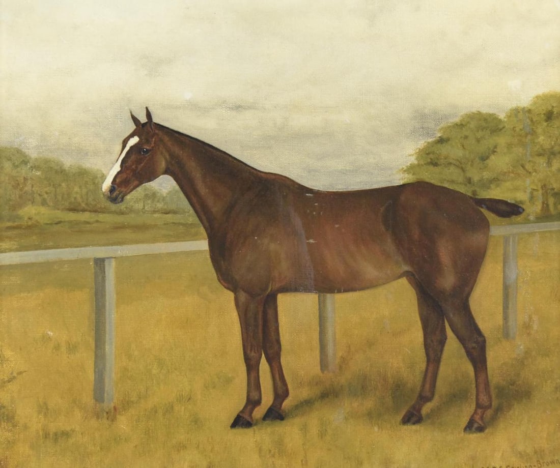 A.E.D.G. Stirling Brown 1869 -1920 (Appr.) Oil on Canvas Equestrian Painting: Sight: 11-1/2" high x 13-1/2" wide. Overall with frame: 15-1/4" high x 17-1/4" wide. LR / BA
