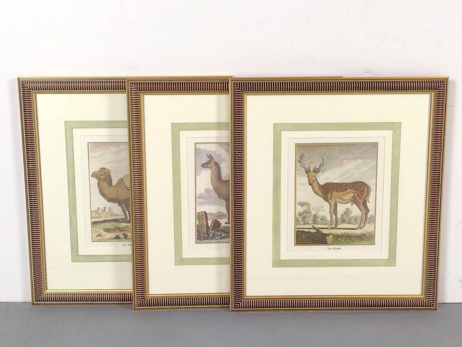 3 Animal Decorator Prints incl Llama (1 of 4)