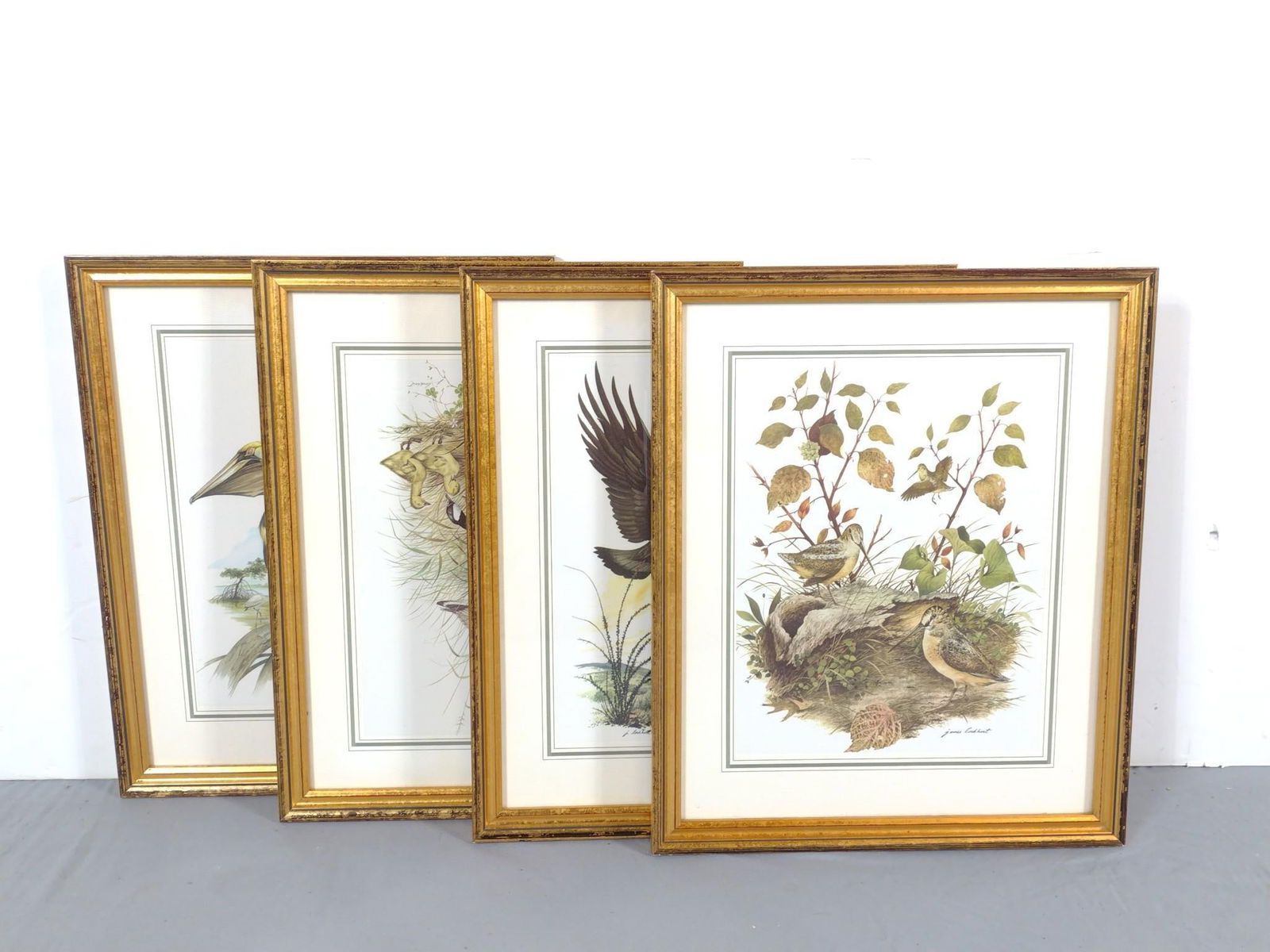 4 James Lockhart Wildlife Prints incl Hawk (1 of 6)