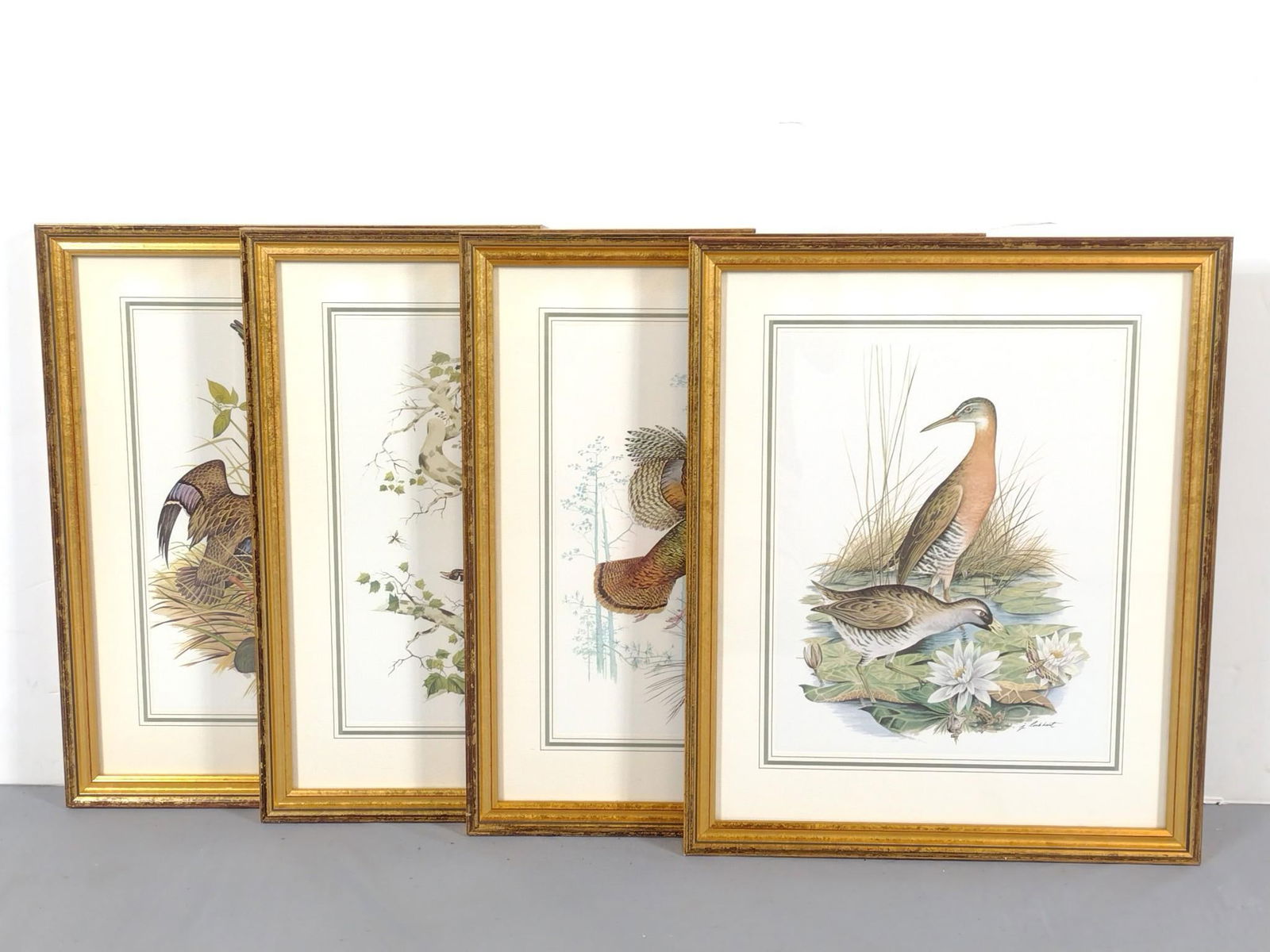 4 James Lockhart Wildlife Prints incl Birds (1 of 6)