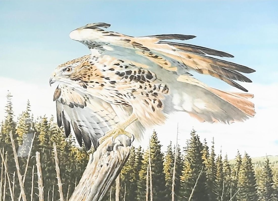 Scott Woolever Owl in Flight Print: Pencil signed. Sight: 20" high x 27" wide. Overall with frame 28" high x 35" wide. LR