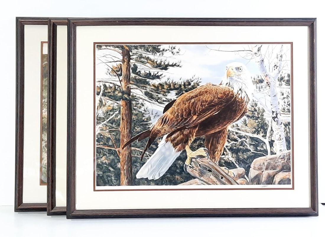 3 Scott Woolever Wildlife Prints (1 of 5)