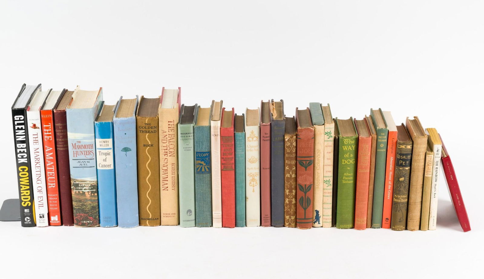 32 Misc Fiction & Non-Fiction Books Incl Glenn Beck (1 of 8)