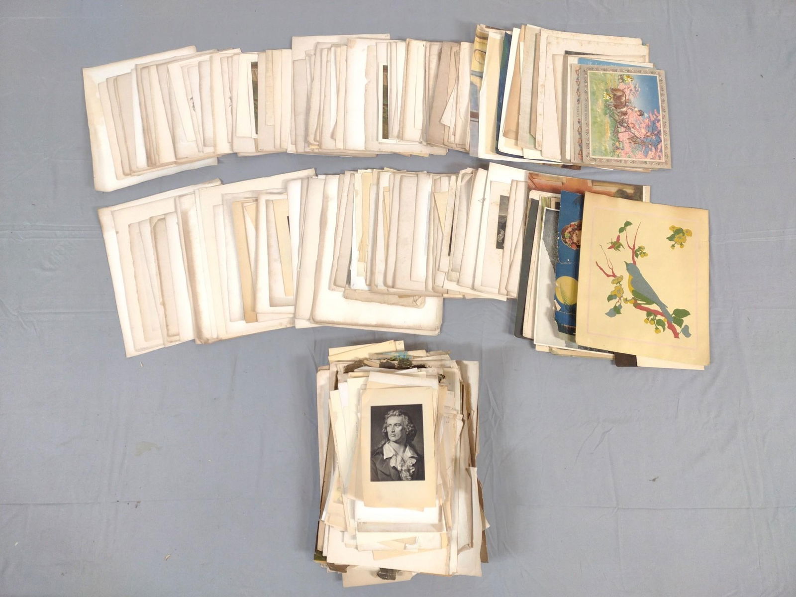 Large Grouping Loose Leaf Prints From Books (1 of 4)