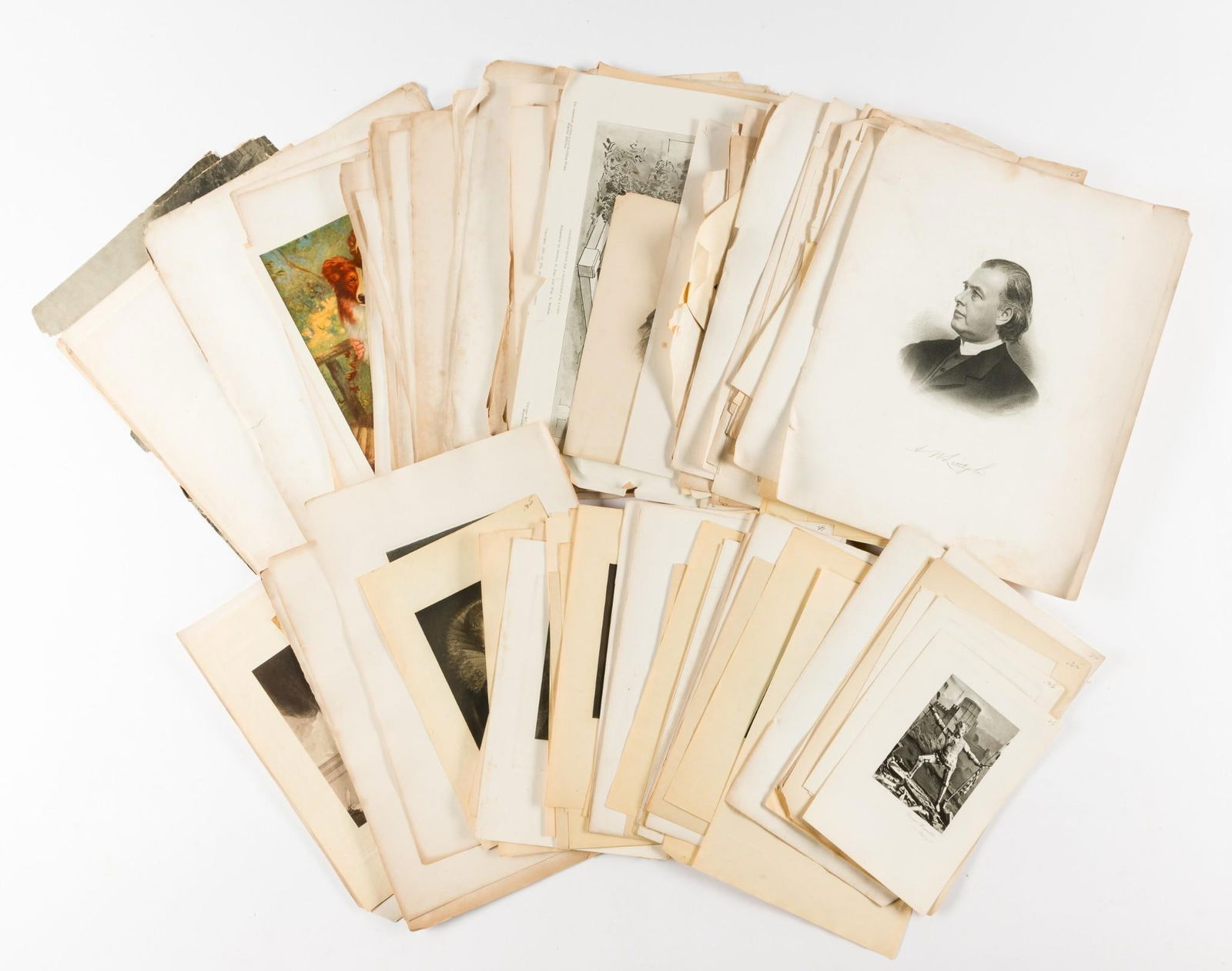 Large Grouping Unframed Prints (1 of 5)