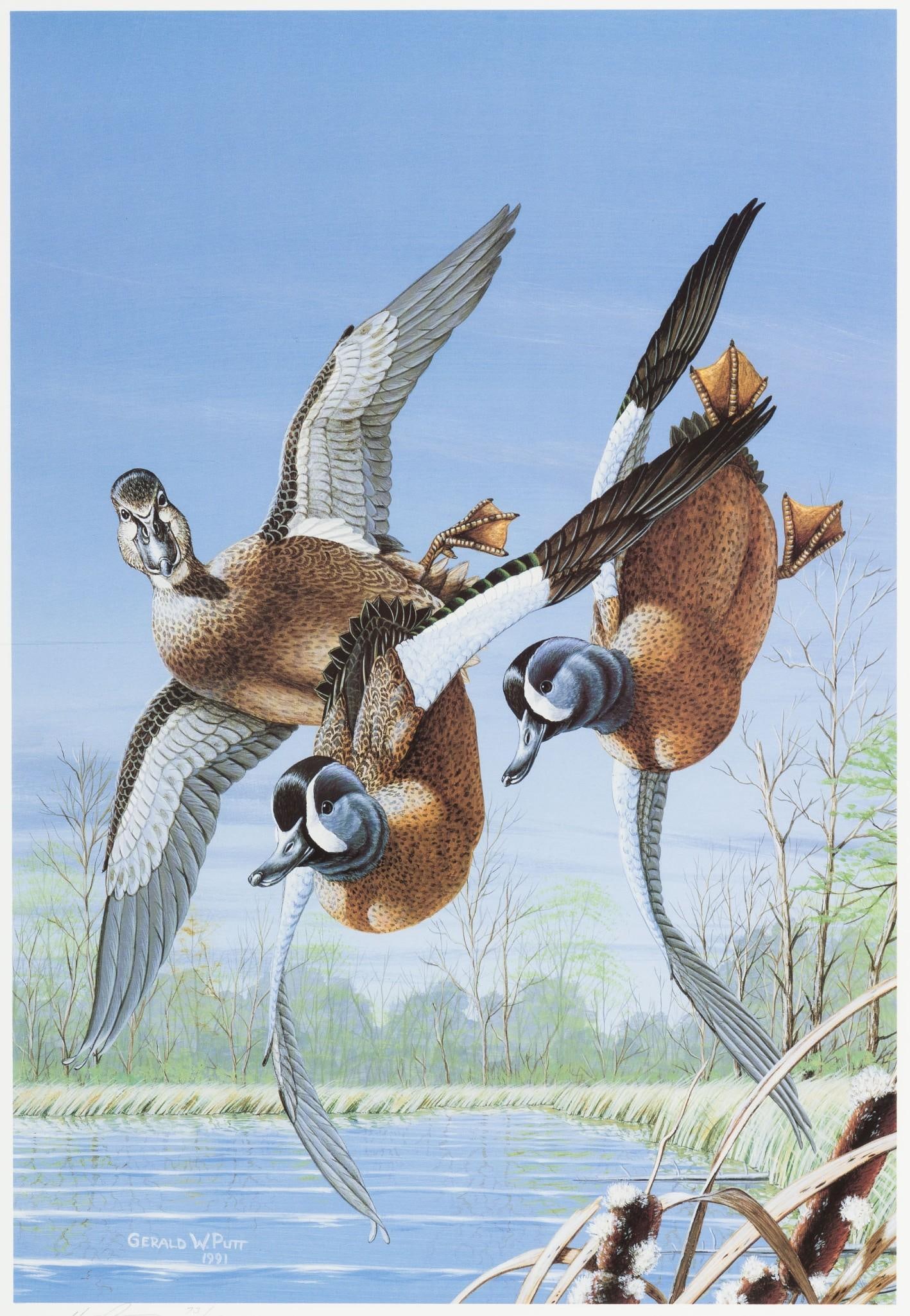 Gerald Putt Twistin Teal Limited Edition Print (1 of 6)