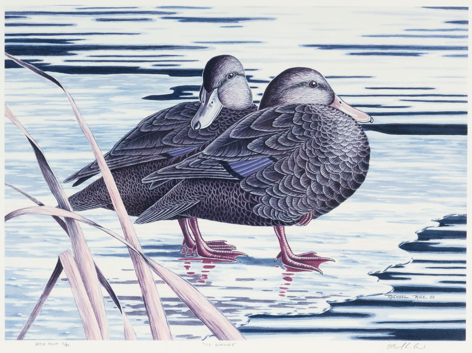 Michael Rice "Ice Blackies" Limited Edition Artist Proof Print (1 of 6)