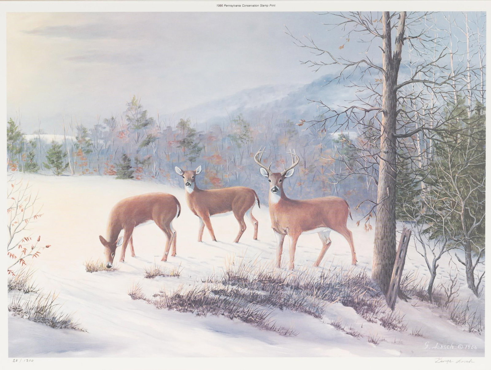 George Losch 1986 PA Stamp Print: Losch was a Pennsylvania wildlife artist. He has been recognized by the Perry County Art Council. Edition number 28 / 1300. Certificate of authenticity attached to verso. Sight 13" high X 18" wide. Ov