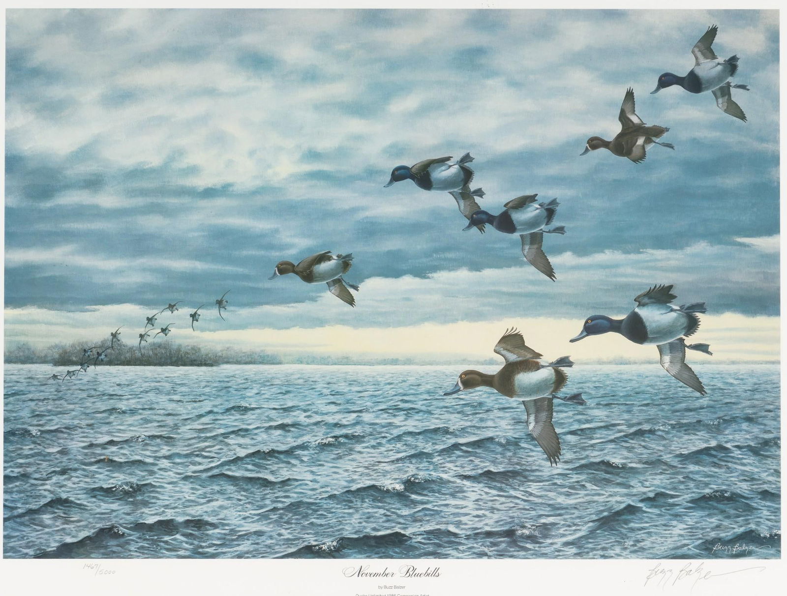 Buzz Balzer "November Bluebills" Limited Edition Print (1 of 6)