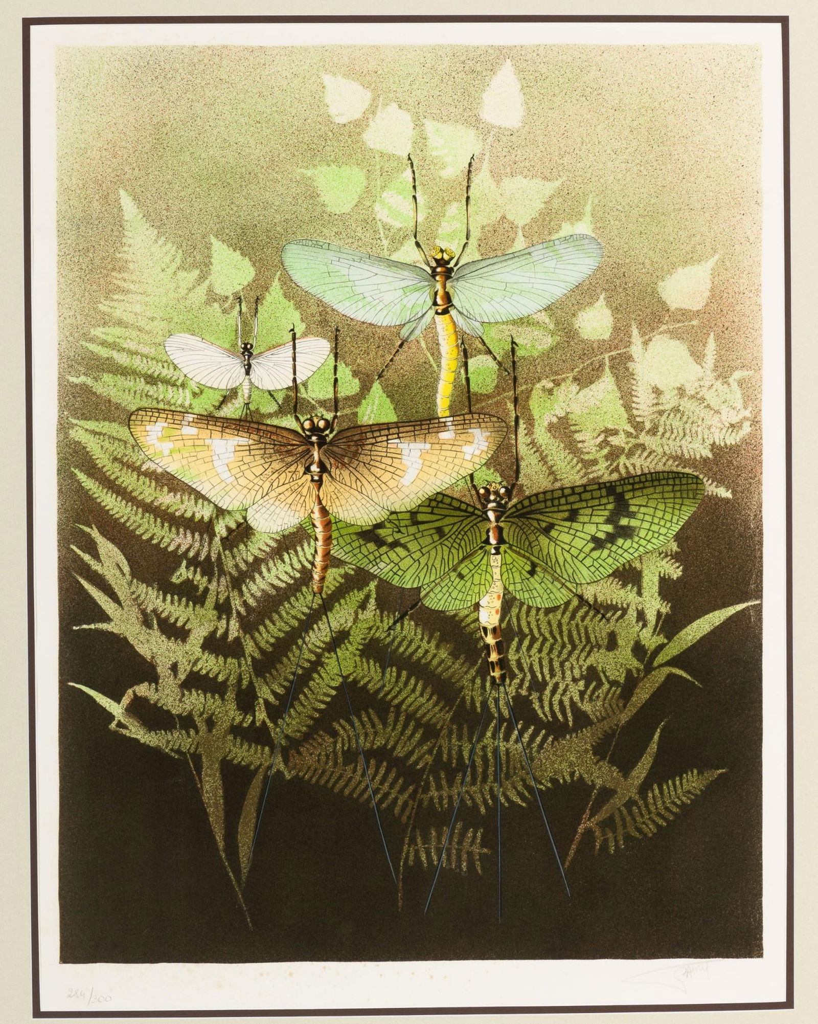 La Peche Insect Ltd Ed Print (1 of 7)