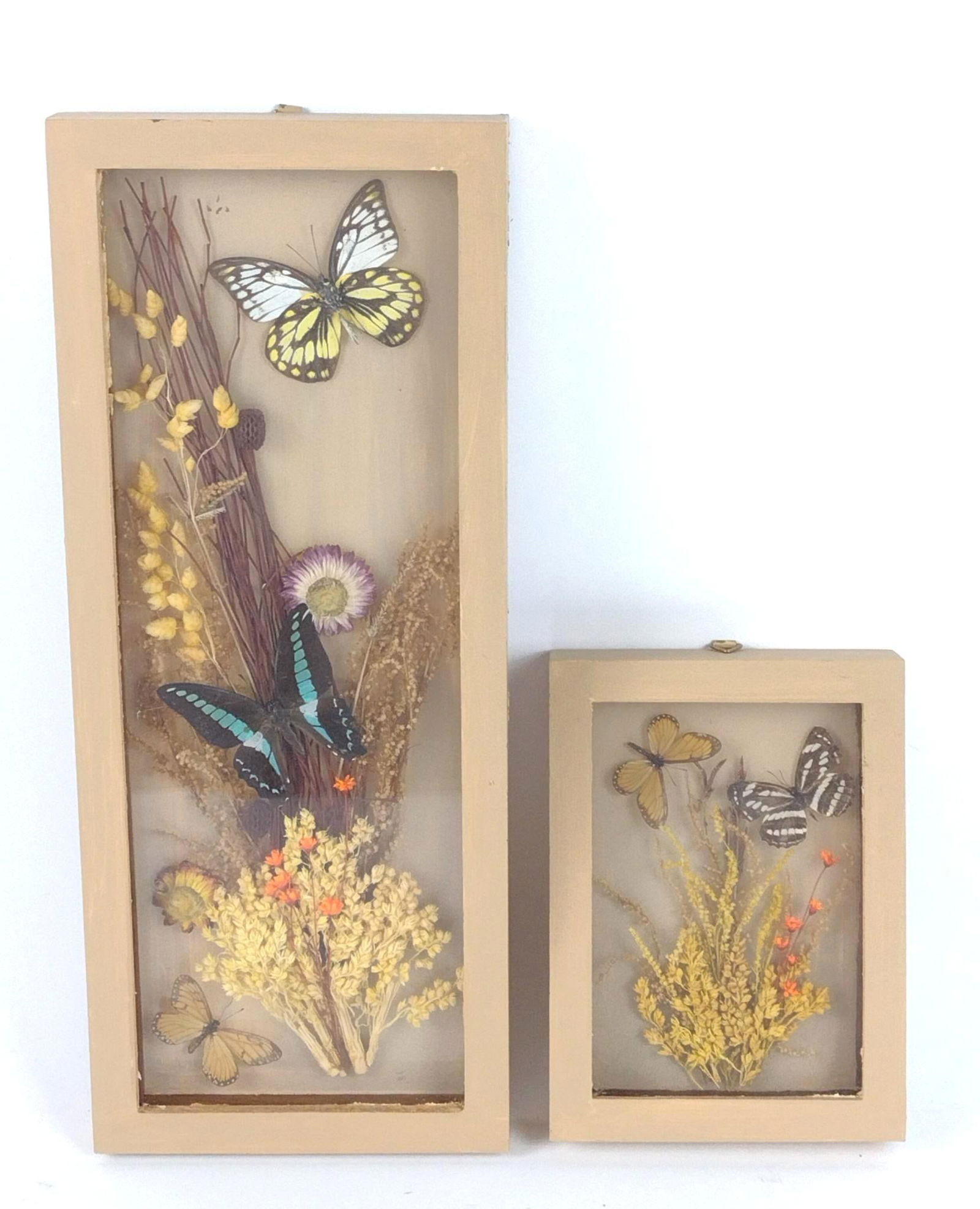 2 Butterfly Shadow Boxes (1 of 3)