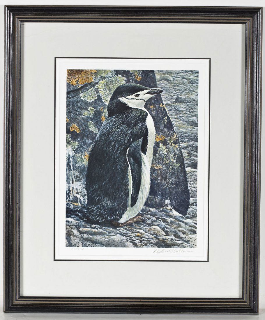 Robert Bateman (American, B. 1930): Robert Bateman (American, B. 1930). Chinstrap Penguin. Circa 1985. Print on white wove paper. Signed, lower right and numbered "34/810, lower left. With label and paperwork describing artist, verso. I