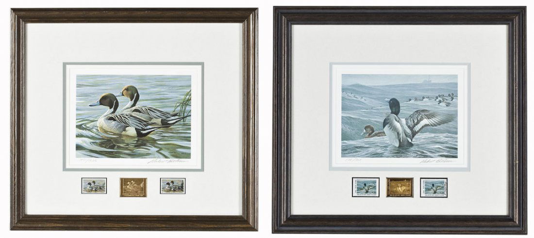 2 Robert Bateman (American, B. 1930) Prints: Two Robert Bateman (American, B. 1930) prints. 1) Pintails in the Spring. 1988. Print on white wove paper with two Canadian Wildlife Habitat Conservation stamps and a gold plated medallion. Signed, lo