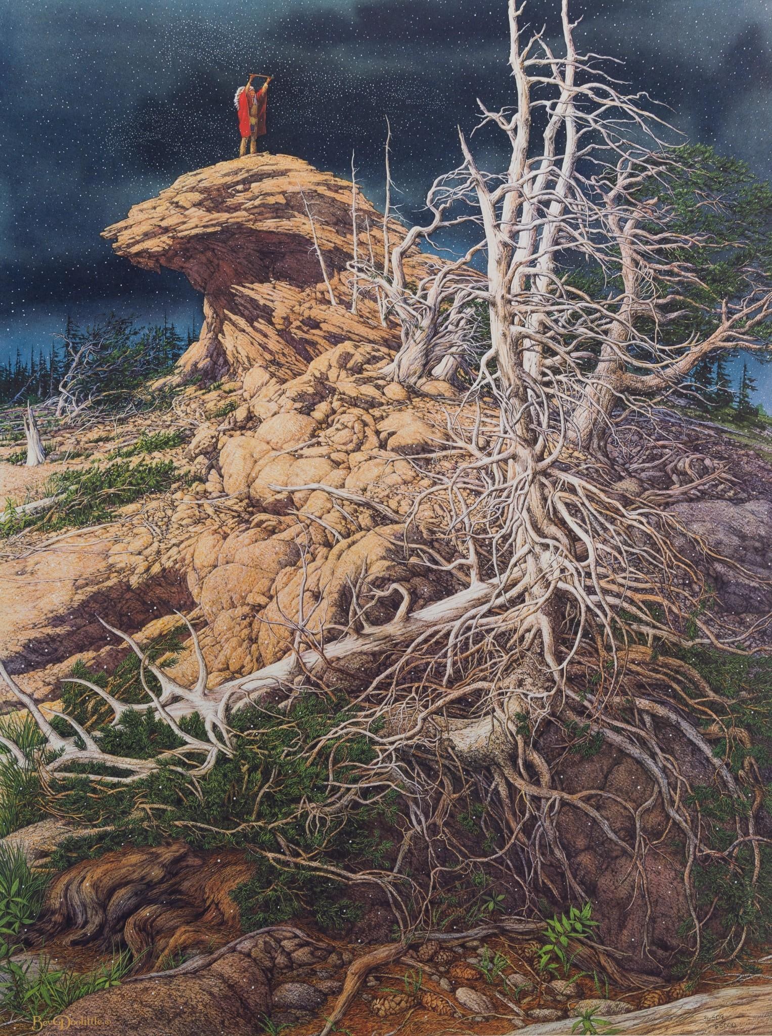 Bev Doolittle "Prayer for the Wild Things" Ltd Ed Print (1 of 6)