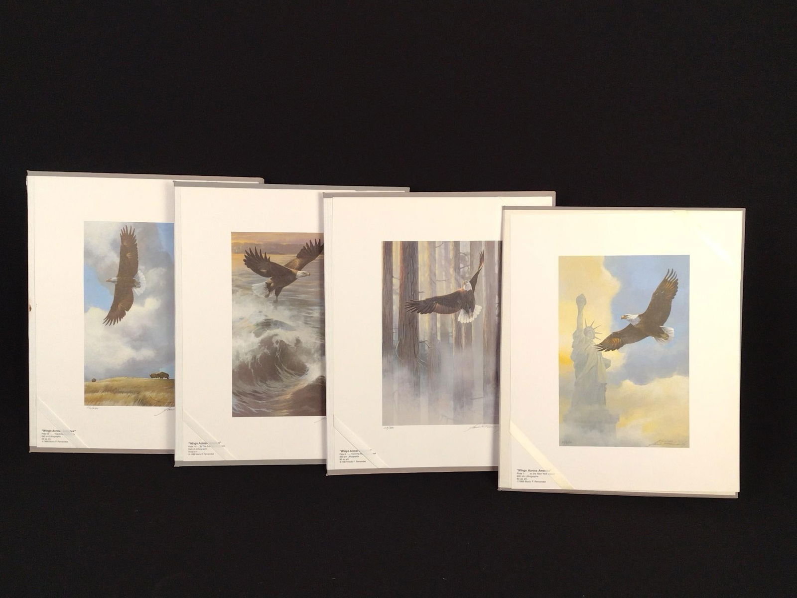 4 Ltd Ed Mario F. Fernandez Eagle Prints (1 of 11)